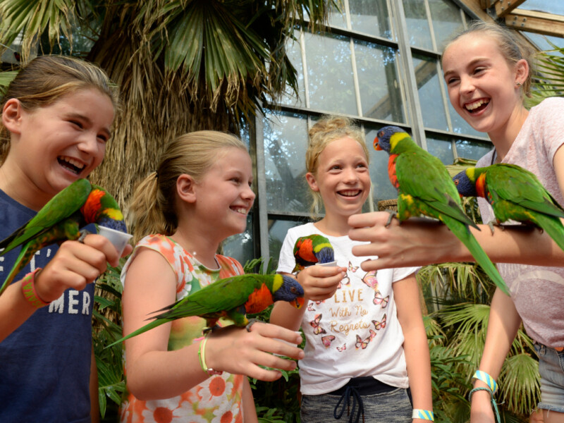 Vogelpark Avifauna