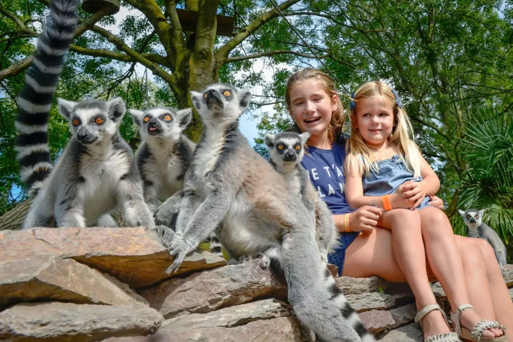 Vogelpark Avifauna