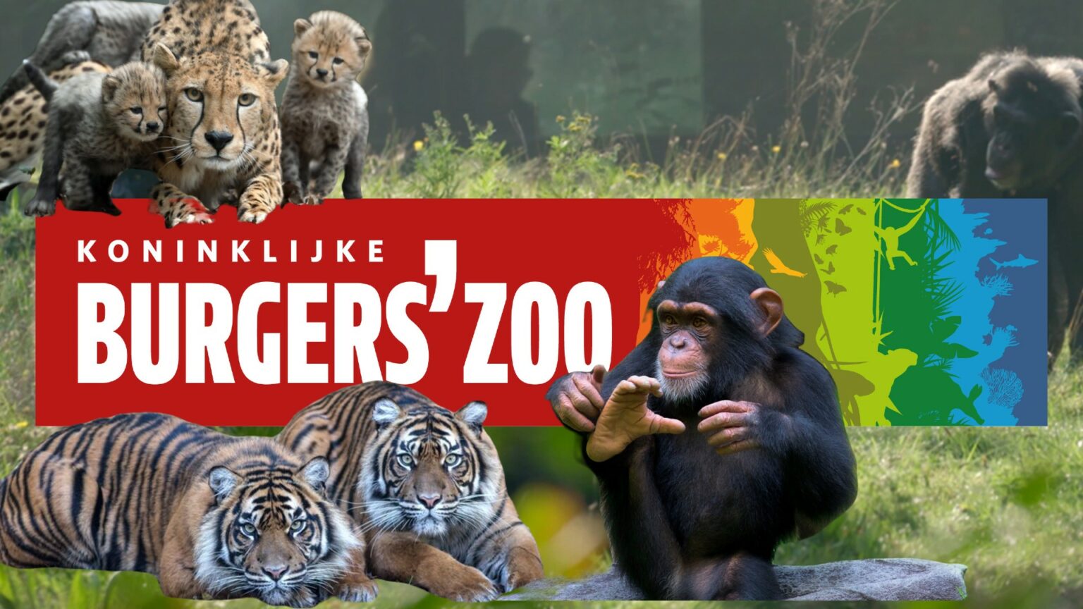 Burger's Zoo met korting - Goedkoop weg met kinderen