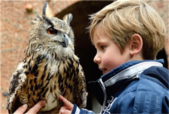 kasteel muiderslot korting