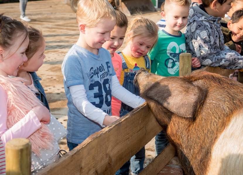 Fien en Teun vakantiepark Molenwaard