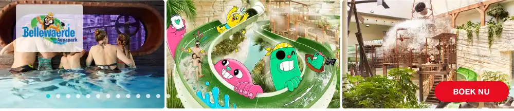 wat te doen in België