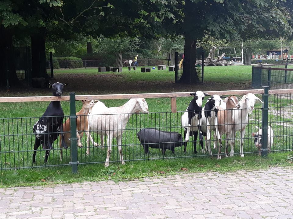 Gijsbert van Andelpark