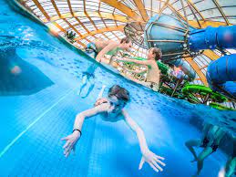 Vakantie met subtropisch zwembad