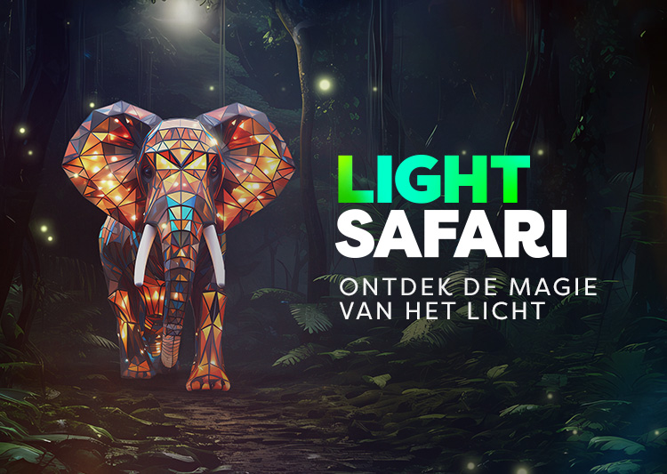 Light Safari